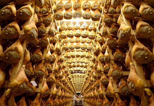 Visita al Re dei formaggi “Il Parmigiano Reggiano”